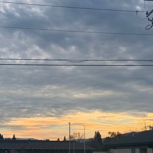 Meet your Posher, Avery